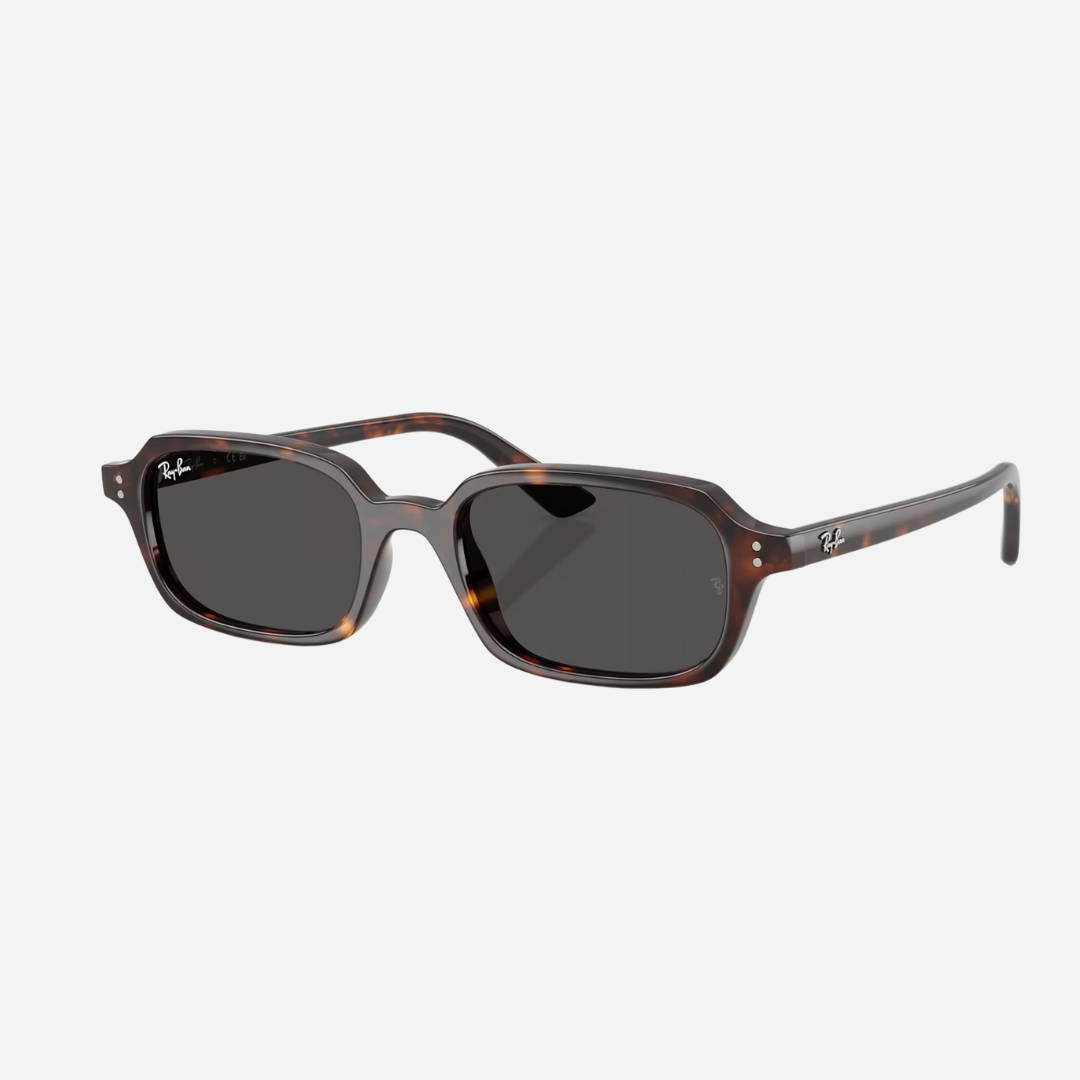 RayBan Zuri