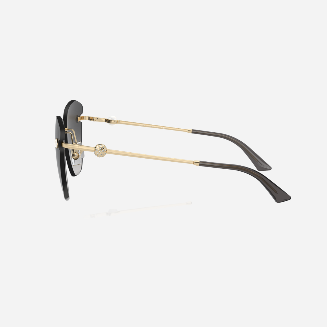 Jimmy Choo 4004HB
